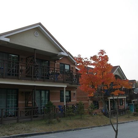 Hwangto Green Village Pension Yongin Dış mekan fotoğraf