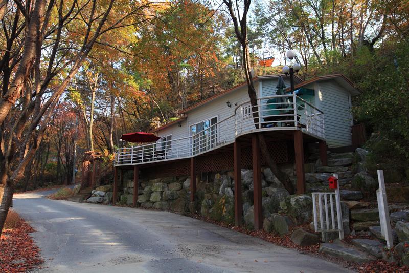 Hwangto Green Village Pension Yongin Dış mekan fotoğraf