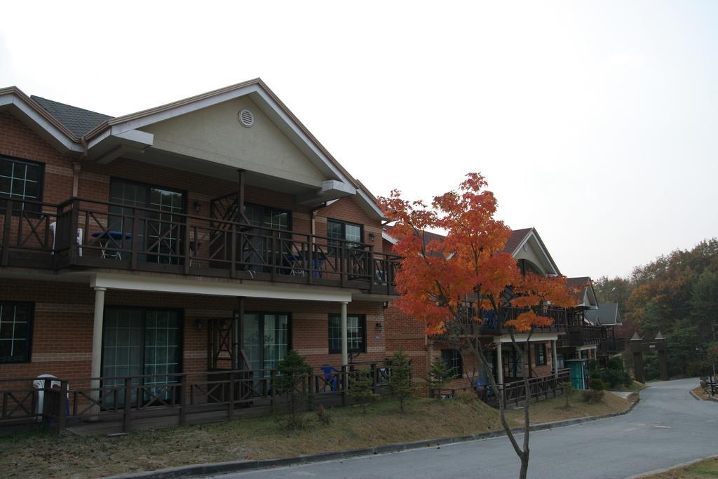 Hwangto Green Village Pension Yongin Dış mekan fotoğraf