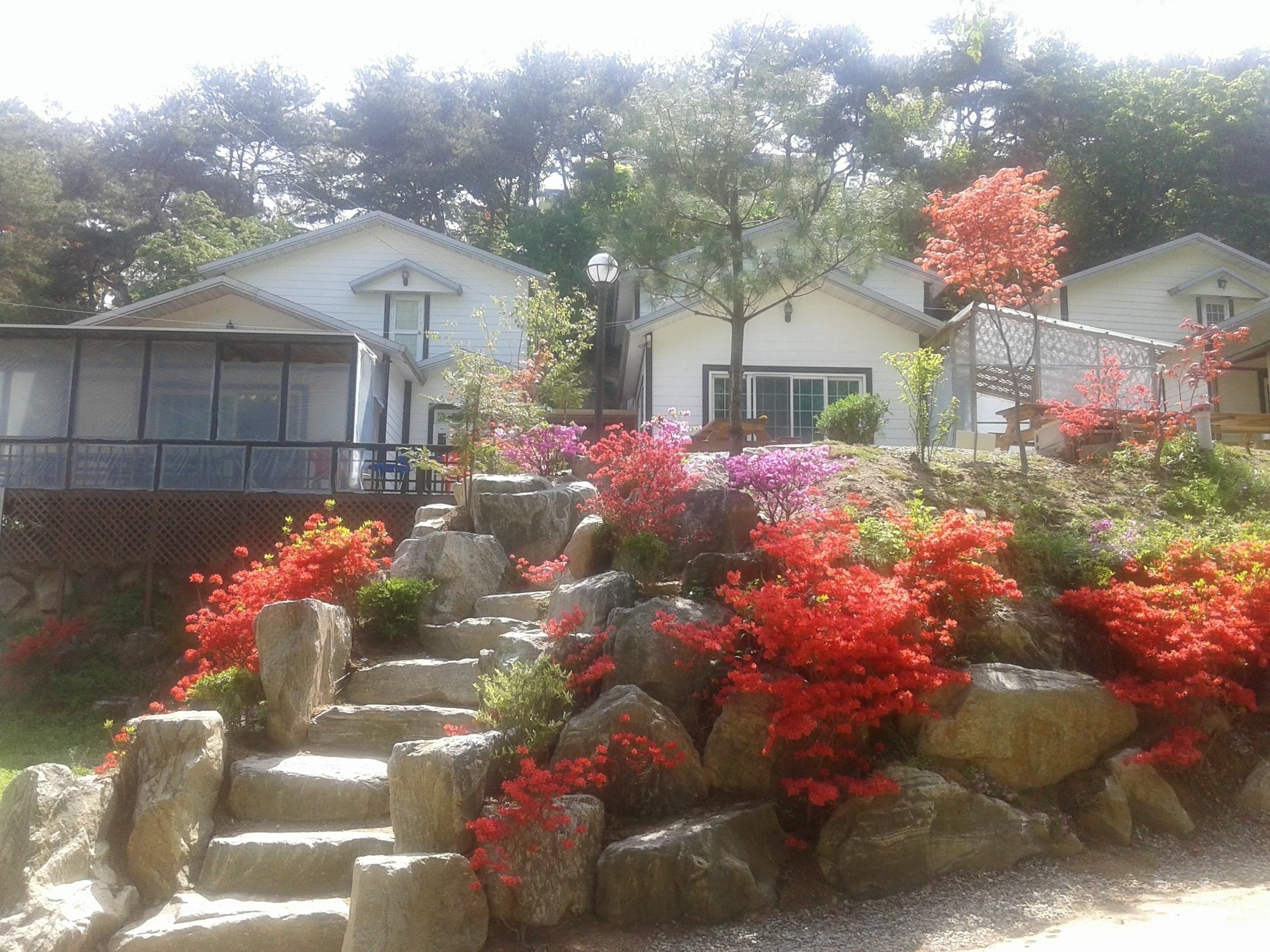 Hwangto Green Village Pension Yongin Dış mekan fotoğraf